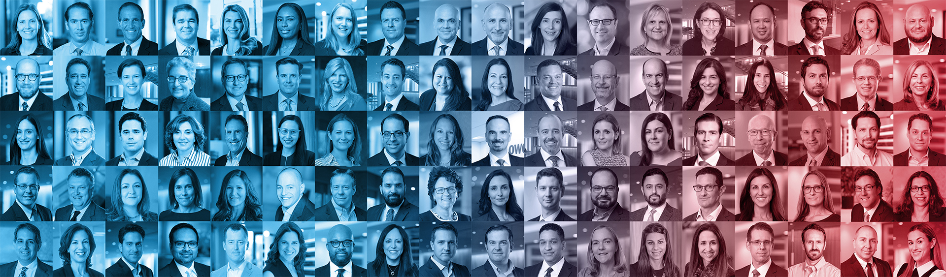 Let's Talk Laterally
We are One Lowenstein.