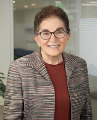 Beth Shapiro Kaufman