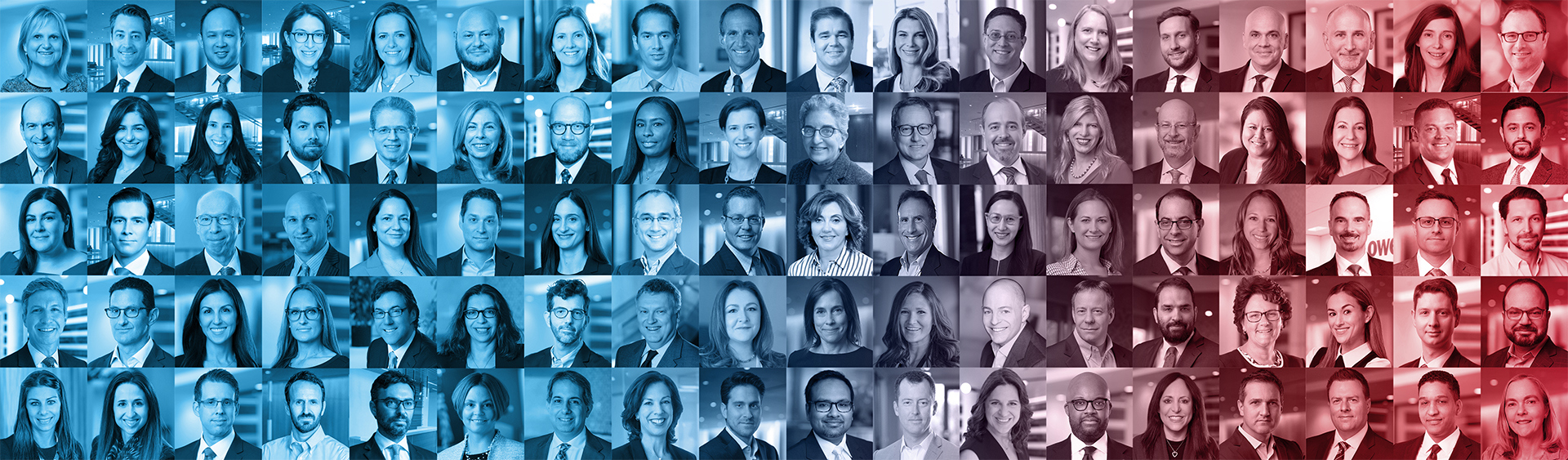 Let's Talk Laterally
We are One Lowenstein.