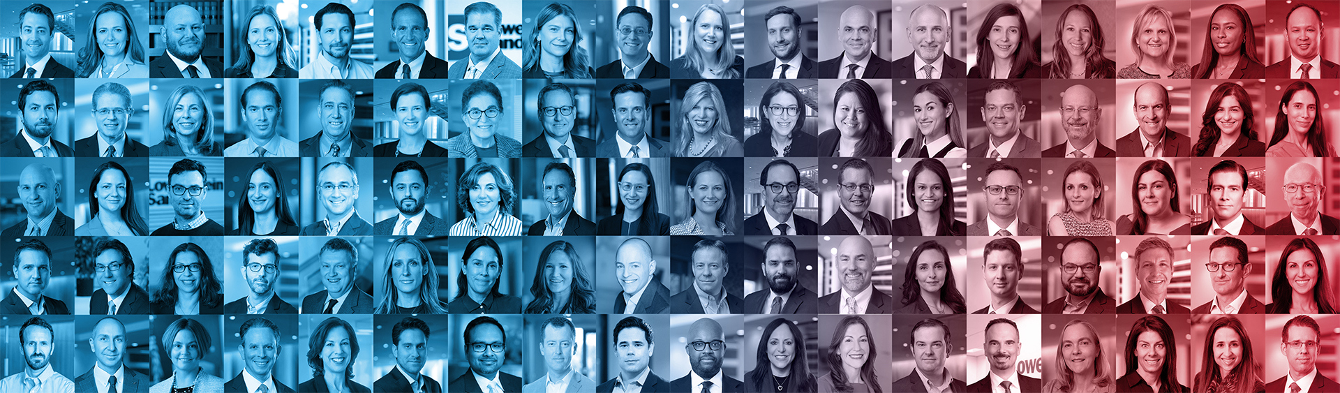 Let's Talk Laterally
We are One Lowenstein.