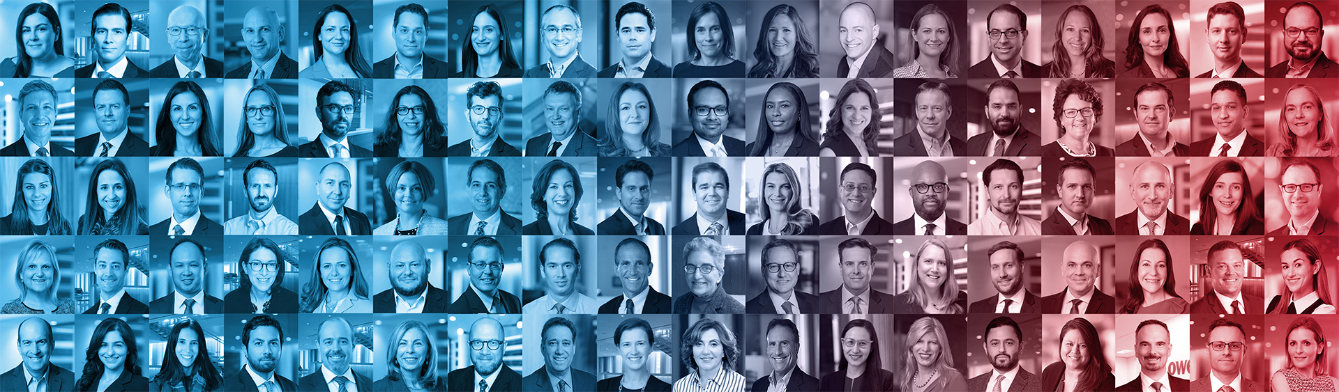 Let's Talk Laterally
We are One Lowenstein.