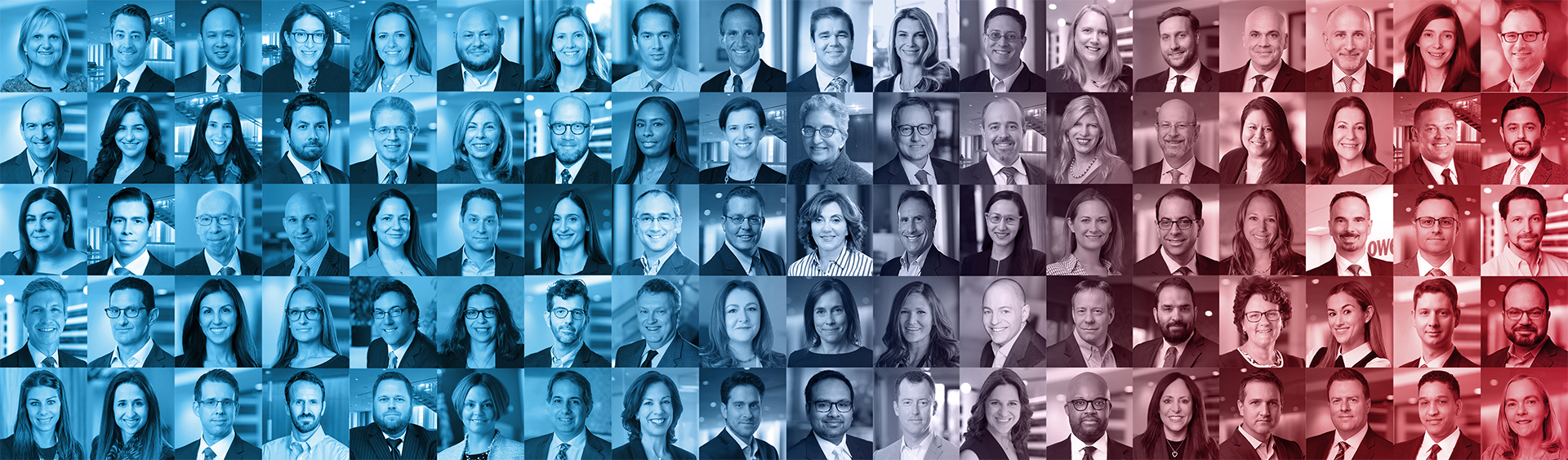 Let's Talk Laterally
We are One Lowenstein.