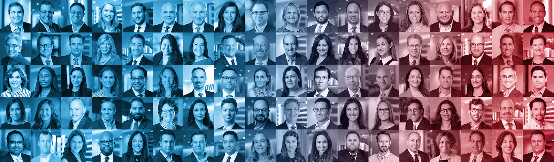 Let's Talk Laterally
We are One Lowenstein.