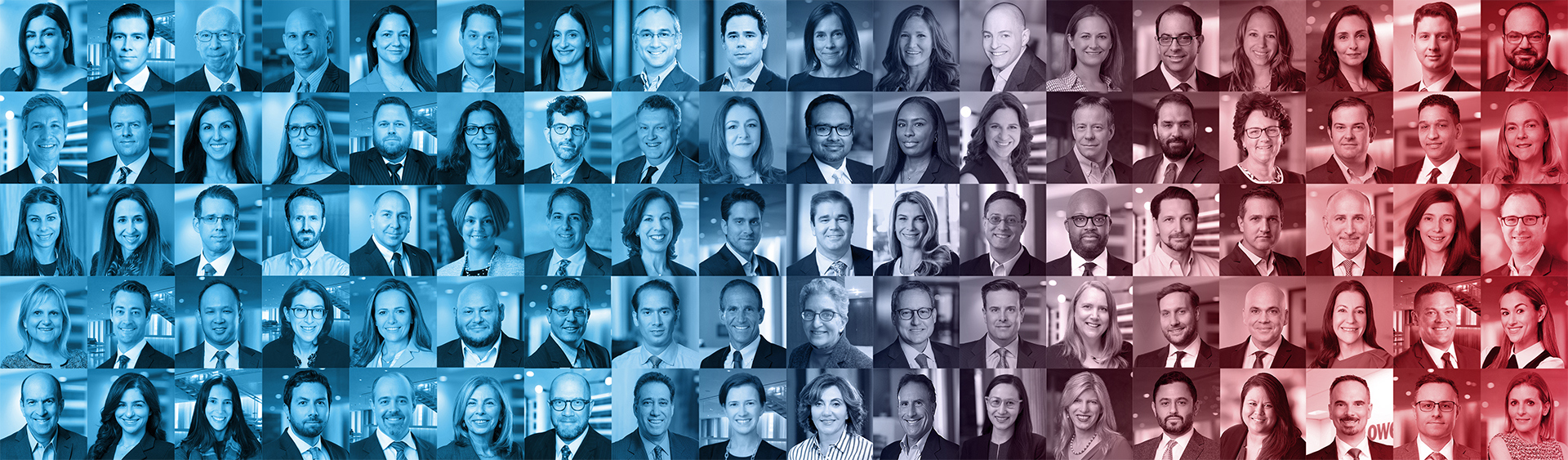 Let's Talk Laterally
We are One Lowenstein.