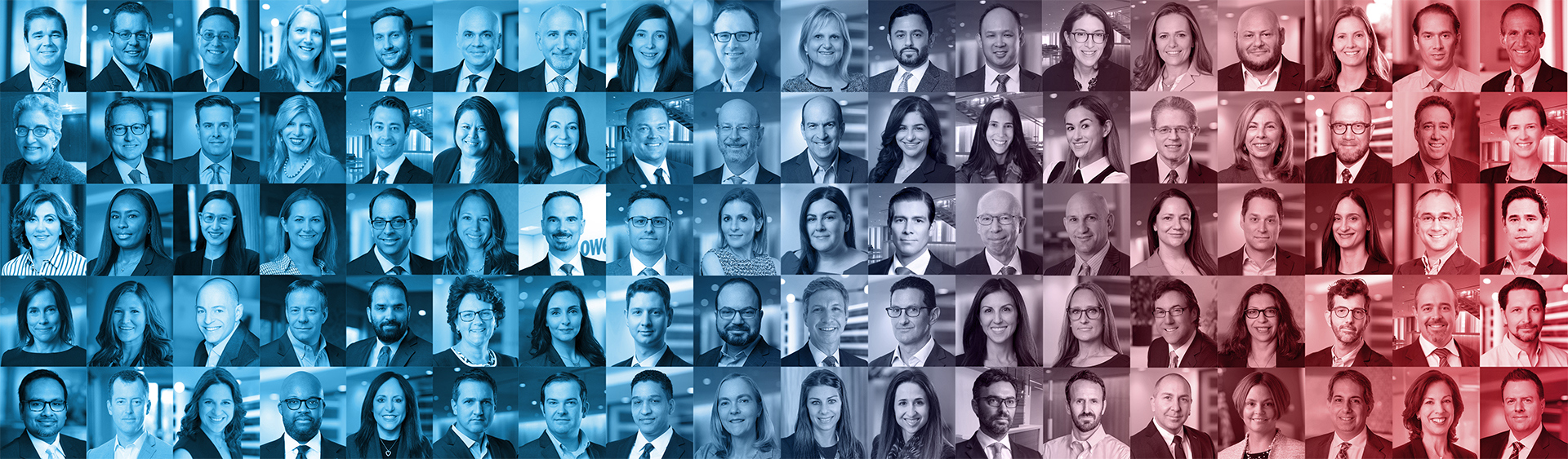 Let's Talk Laterally
We are One Lowenstein.