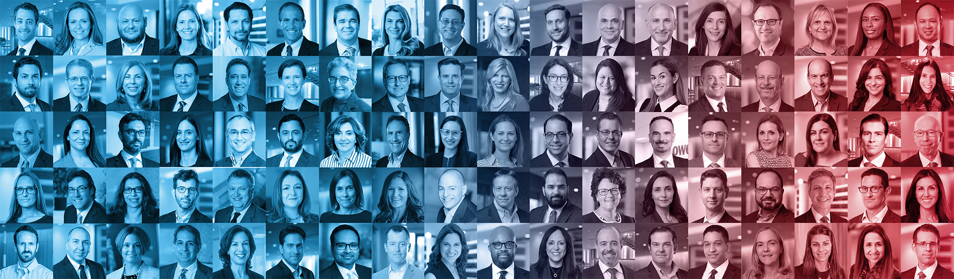 Let's Talk Laterally
We are One Lowenstein.